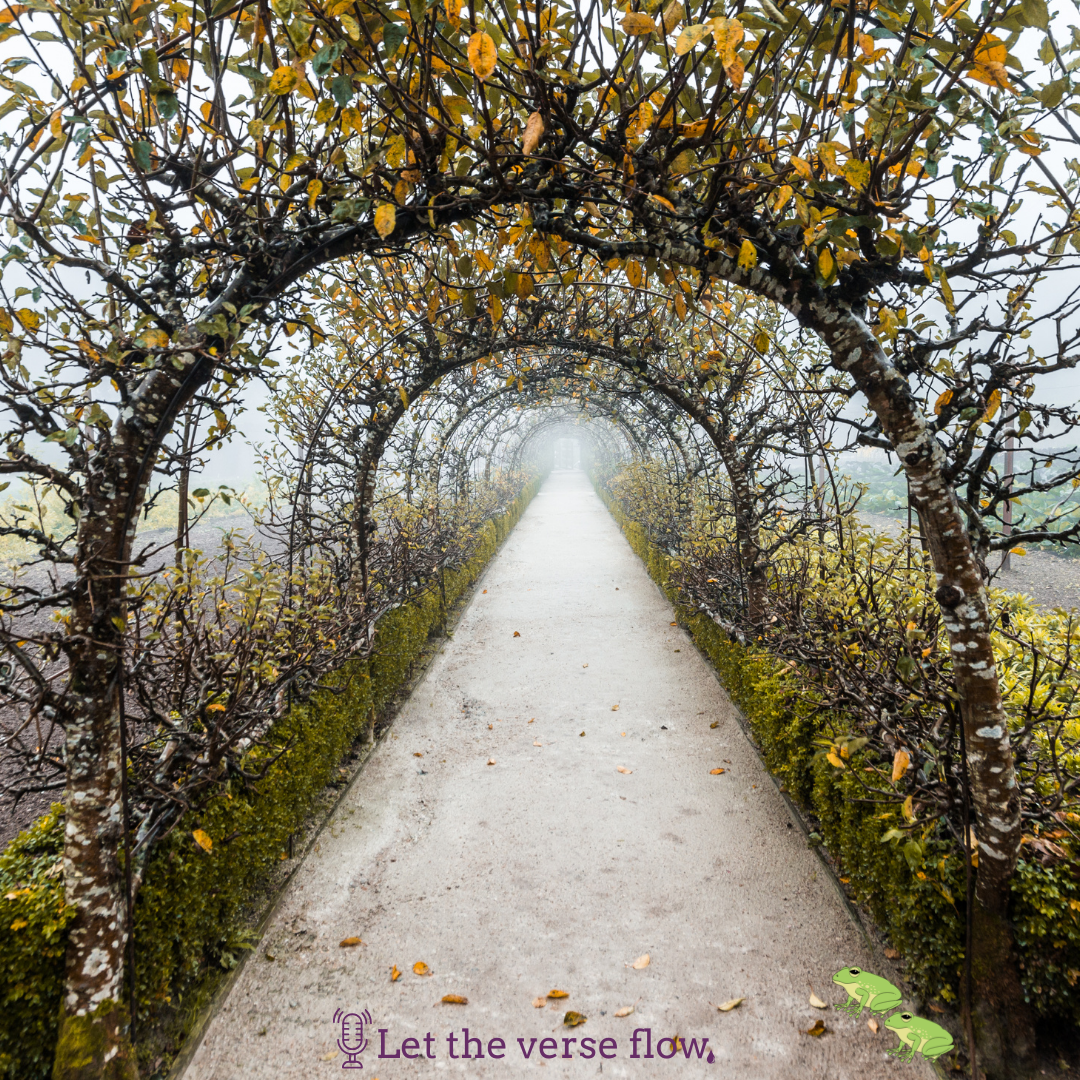 pathway framed by an arbor with falling leaves