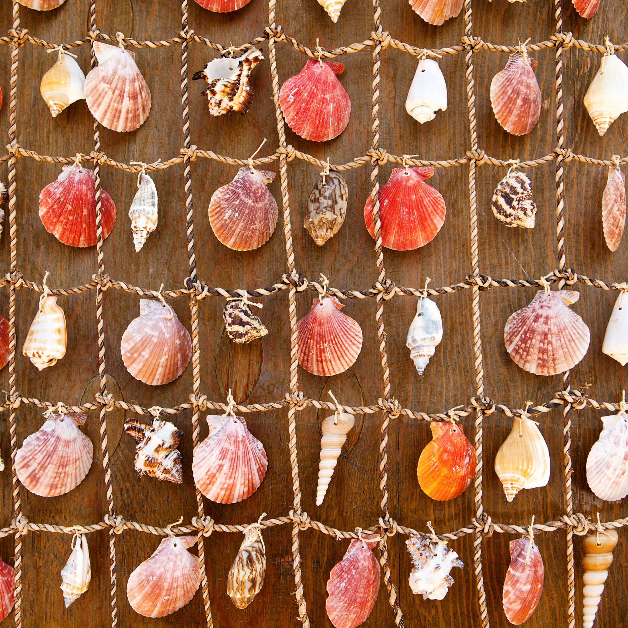 seashells strung together with cord in a checkboard pattern