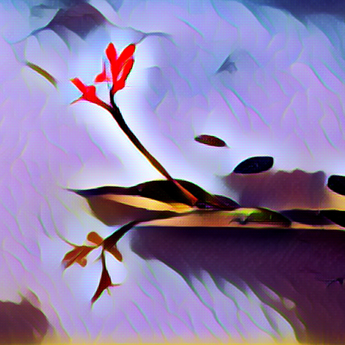 painter filter on a photo of a flower with a single cherry red blossom floating on water 