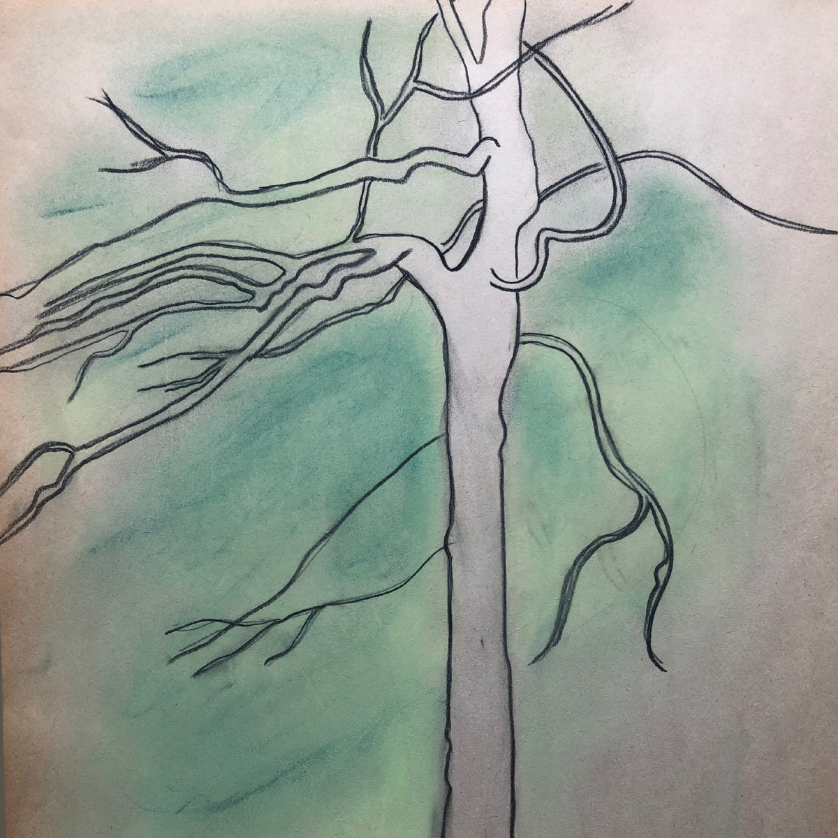 charcoal sketch of a tree with green background