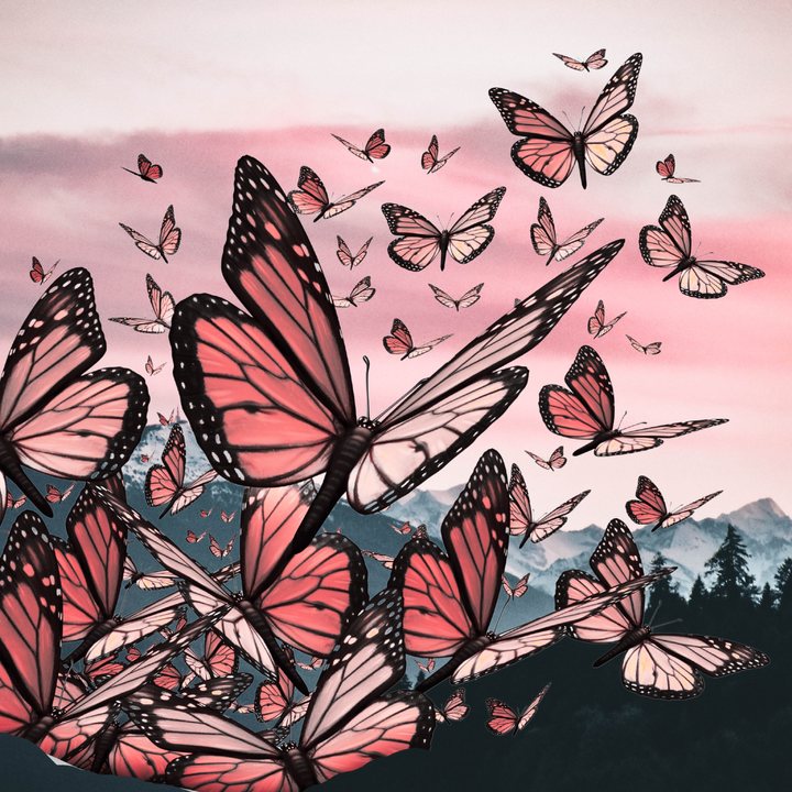 A group of pink butterflies with a mountain landscape in the background