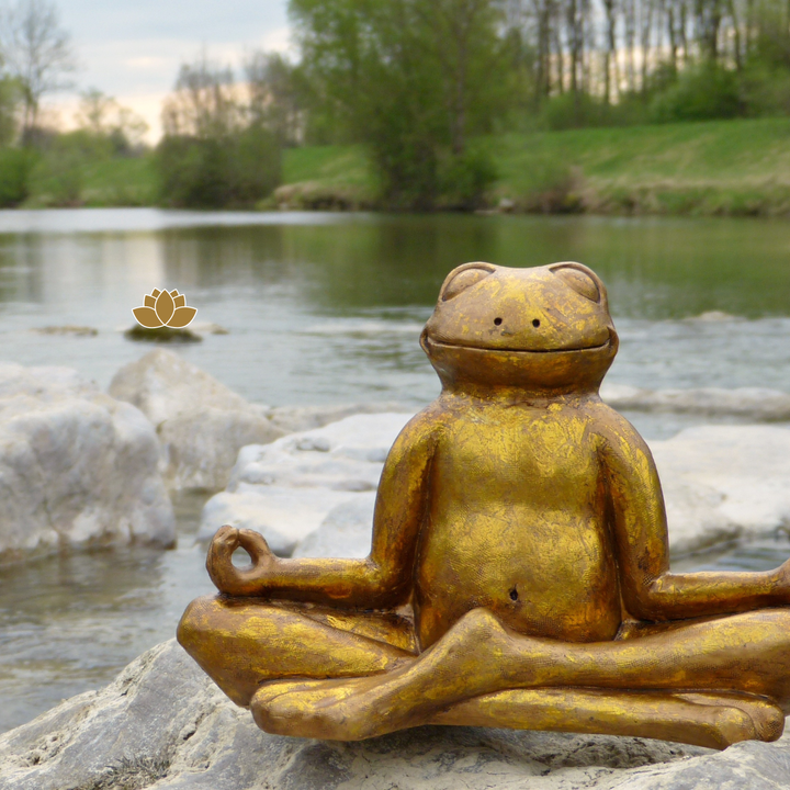 A photo of a bronze frog statue sitting in the lotus position next to a river.